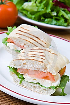 Mozzarella and tomato panini