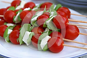 Mozzarella tomatoe sticks