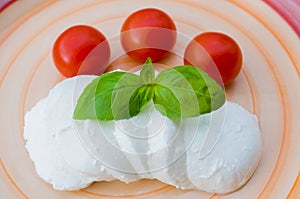 Mozzarella, tomatoes and basil