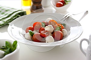 Mozzarella with tomatoes, italian herbs and salad leaves on a white plate on a table