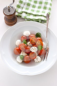 Mozzarella with tomatoes, italian herbs and salad leaves on a white plate on a table