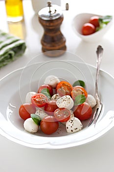 Mozzarella with tomatoes, italian herbs and salad leaves on a white plate on a table