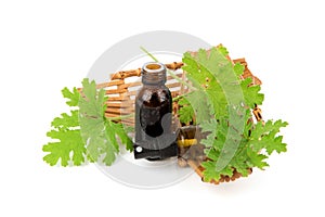 Mozzie buster tree and extracted isolated on white background