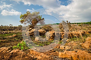 Mpumalanga region near Graskop. Blyde river canyon, South Africa