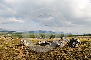 Mpumalanga region near Graskop. Blyde river canyon, South Africa