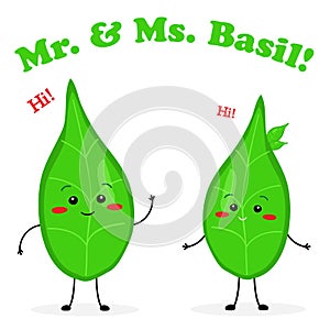 Mr and Ms Basil