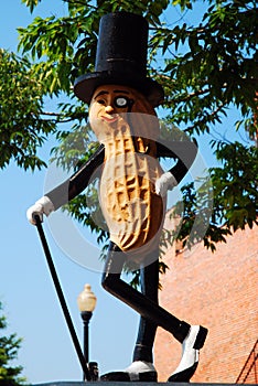 Mr Peanut