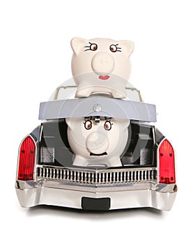 Mr piggy bank in boot of car