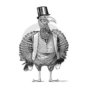 Mr. turkey standing in suit and top hat hand drawn sketch in doodle style