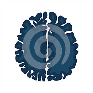 MRI brain scan image icon for medical diagnostics