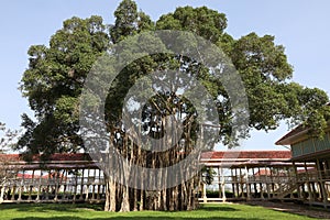 The Mrigadayavan Palace (Marukhathaiyawan castle) is beautiful and faomus at Hua hin, Thailand