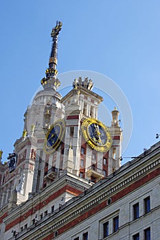 MSU building in details