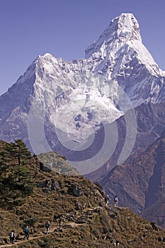 Mt. Ama Dablam photo