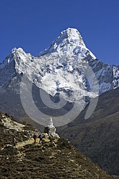 Mt. Ama Dablam photo