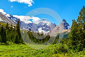 Mt Athabasca at Parker Ridge on the Icefields Parkway in Jasper