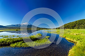 Mt. Bachelor Reflection and Forest