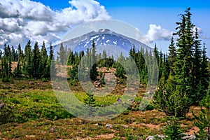 Mt Bachelor Views from Broken Top Trail, Three Sisters Wilderness, Oregon photo