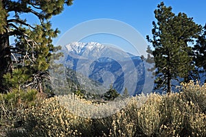 Mt. Baldy, California