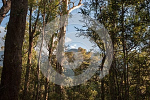 Mt Beauty, Alpine National Park, Australia