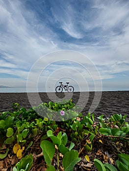 Mt bicycle, shrubs, sand and sky at Kalibukbuk beach, Singaraja, Bali