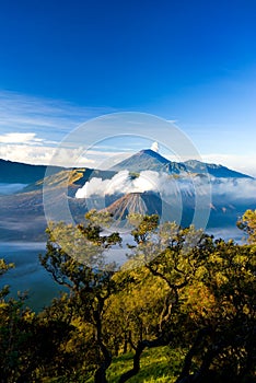 Mt Bromo photo