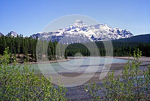 Mt.Christie Jasper National park