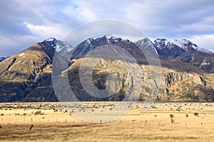 Mt. Cook,South Island New Zealand.