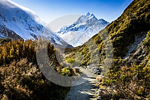 Mt Cook view