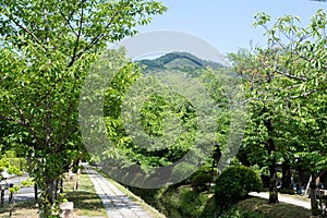 Mt. Daimonji and Canal of fresh verdure near Ginkakuji-michi, Kyoto, Japan