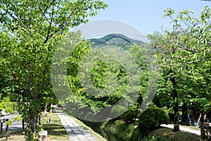 Mt. Daimonji and Canal of fresh verdure near Ginkakuji-michi, Kyoto, Japan photo