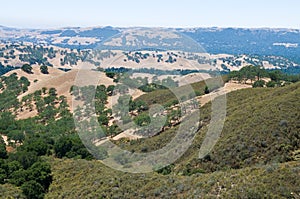 Mt. Diablo view