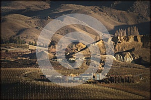Mt Difficulty Vineyard, Cromwell, Central Otago, New Zealand