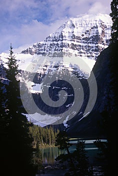 Mt Edith Cavell photo