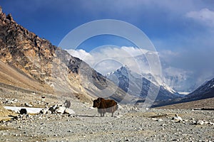Mt. Everest and flannelette temple