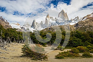 Mt. Fitz Roy with green trees