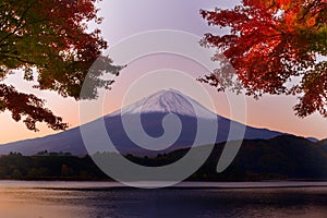 Mt. Fuji in the Autumn