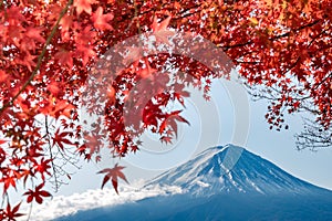 Mt Fuji in autumn behind the red maple tree from Lake Kawaguchiko in Yamanashi