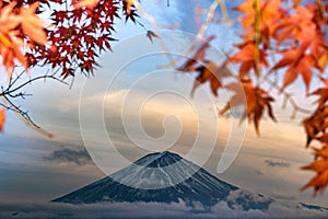 Mt Fuji in autumn behind the red maple tree from Lake Kawaguchiko in Yamanashi