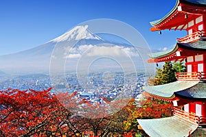 Mt. Fuji in Autumn