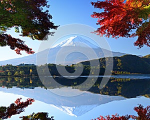 Mt. Fuji in the Autumn photo