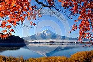 Mt. Fuji and autumn foliage at Lake Kawaguchi