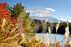 Mt. Fuji in the Autumn