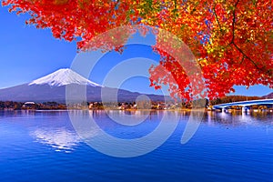 Mt.Fuji, autumn leaves and lake