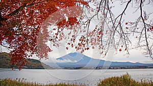 Mt.Fuji with autumn red leaves in Kawaguchiko