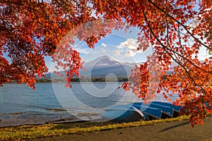 Mt. Fuji in autumn with red maple leaves