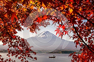 Mt. Fuji in autumn with red maple leaves