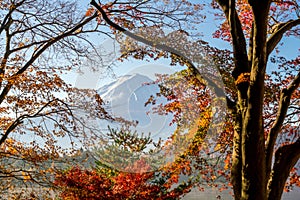 Mt. Fuji in autumn with red maple leaves