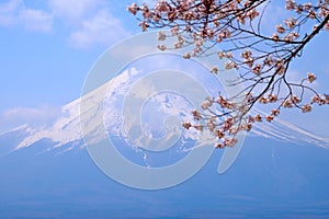 Mt Fuji and Cherry Blossom in Japan Spring Season Japanese