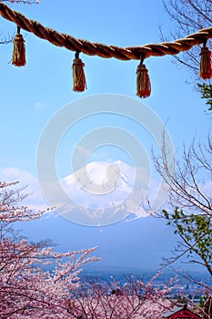 Mt Fuji and Cherry Blossom in Japan Spring Season (Japanese Cal