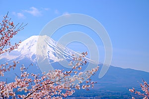 Mt Fuji and Cherry Blossom in Japan Spring Season & x28;Japanese Cal